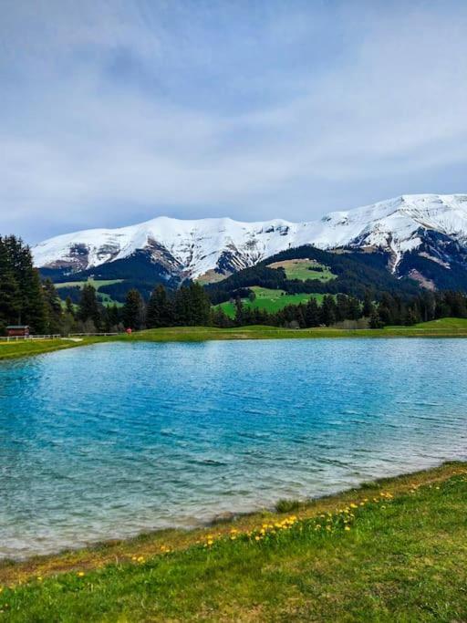 Logement A Megeve Avec Jardin מראה חיצוני תמונה