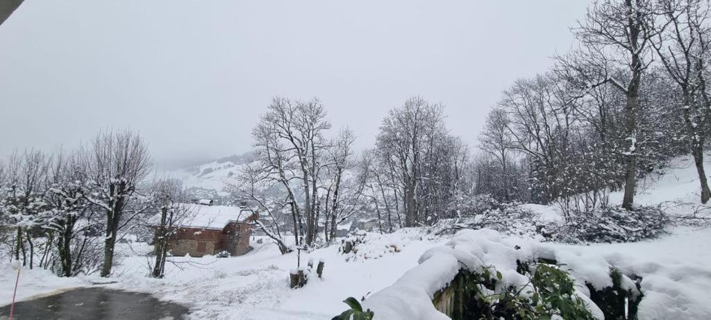Logement A Megeve Avec Jardin מראה חיצוני תמונה